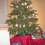 Weihnachtsbaum sicher dank Quinny