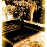 Vom Wochenende und Links