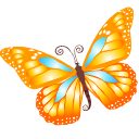 butterfly_orange
