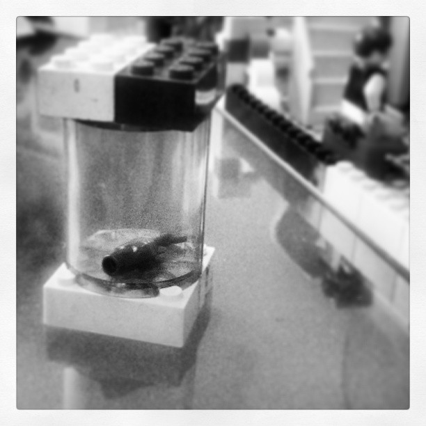 Babykeks hat sich nun auch noch sein eigenes Aquarium gebaut...