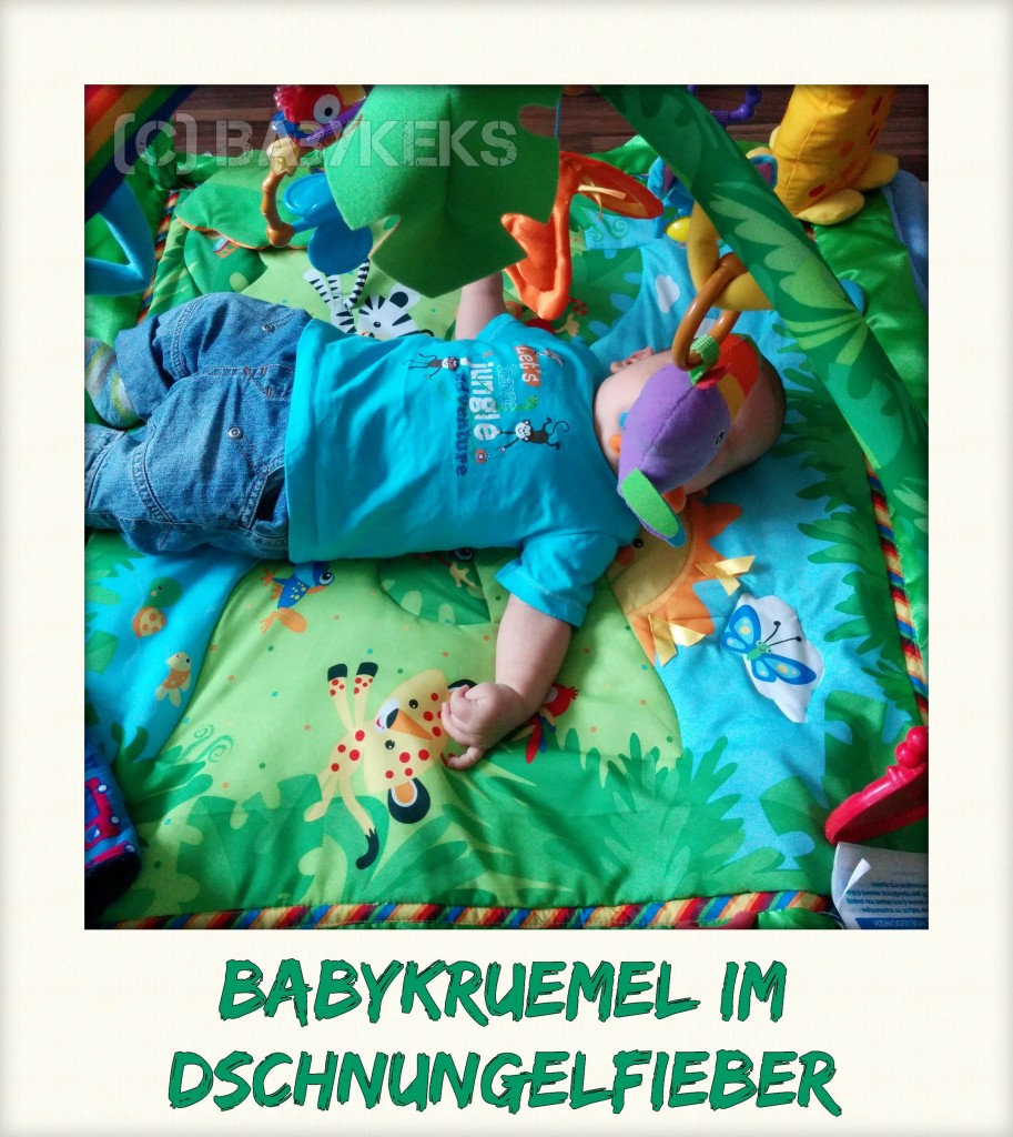 Babykeks_Blog_Dschungelfieber.jpg