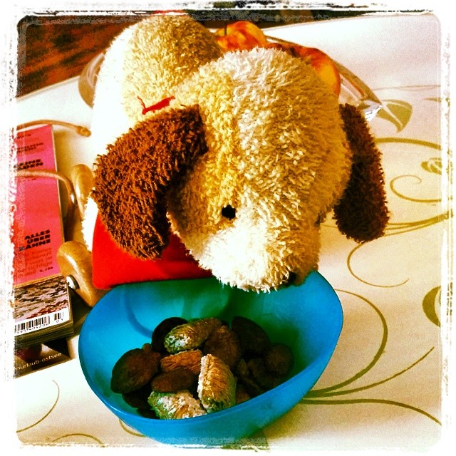 Babykeks' Freund Back up musste heute unbedingt auch mitessen ;-)