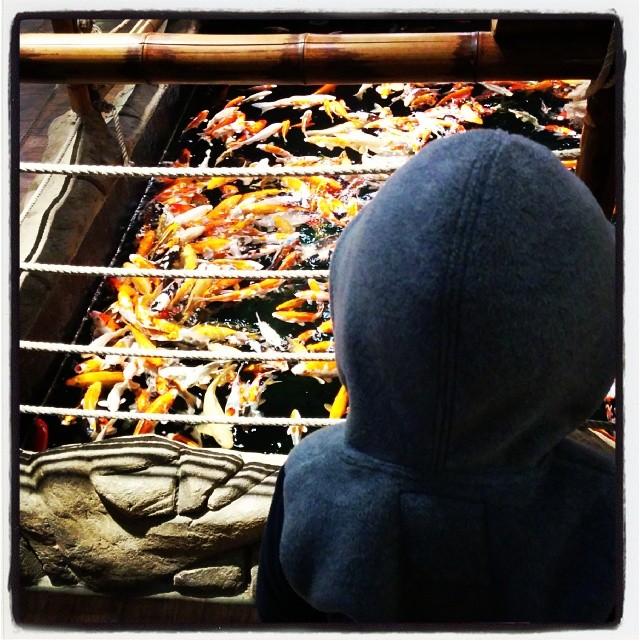 @valentinesdiary mag wissen was wir gerade machen. Babykeks bestaunt Baby Kois :-)