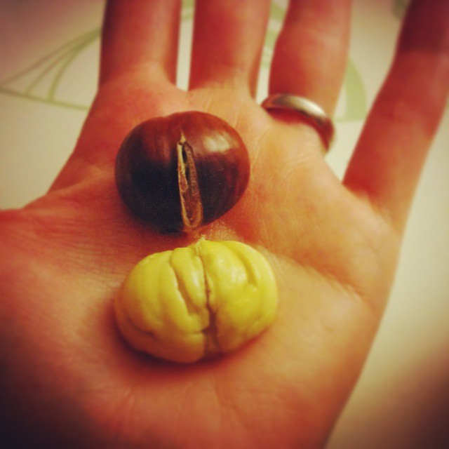 Juhu der #Herbst bringt so viele leckere Dinge. Neben Kürbis gibt es jetzt auch endlich wieder #Maronen