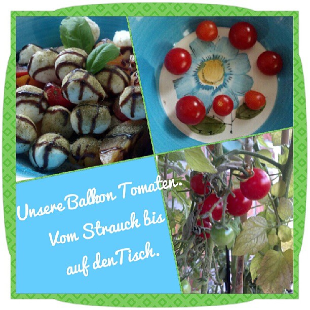 Tomaten Mozarella selbstgemacht