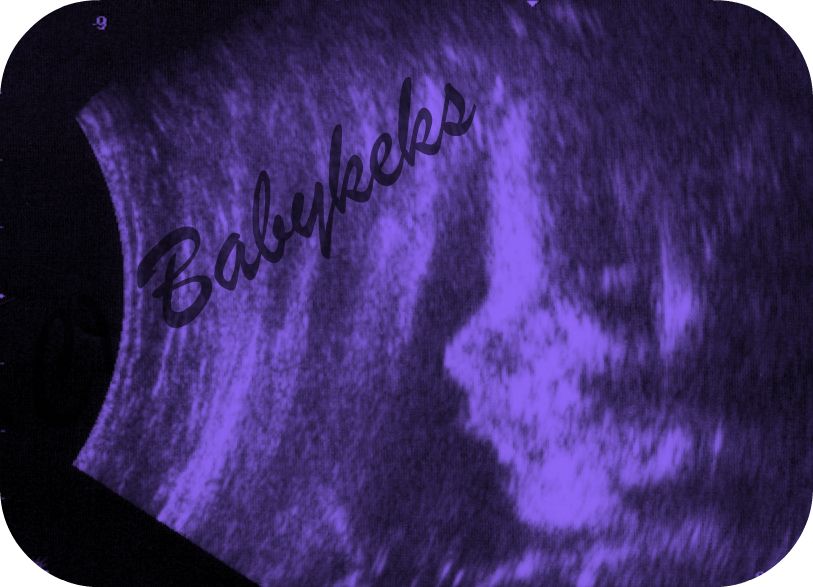 Babykeks im 6ten Schwangerschaftsmonat unter meinem Herzen UB_Babykeks