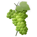 grapes